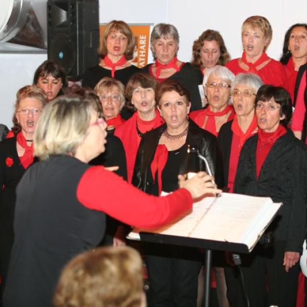 Narbonne mars 2011